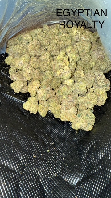 picture of strain name